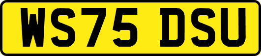 WS75DSU