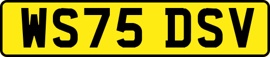 WS75DSV