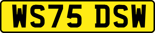 WS75DSW