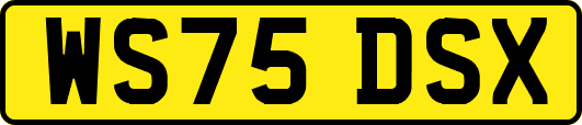 WS75DSX