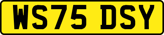 WS75DSY