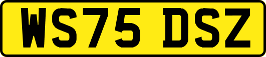 WS75DSZ
