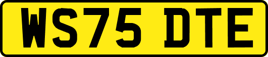 WS75DTE
