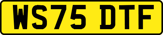 WS75DTF