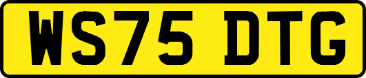 WS75DTG