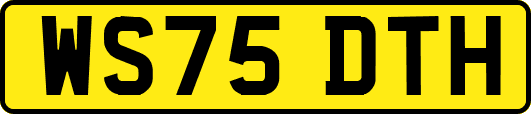 WS75DTH