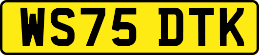 WS75DTK