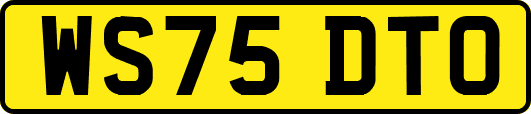 WS75DTO