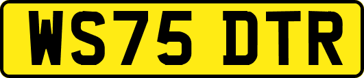 WS75DTR