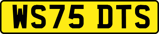 WS75DTS