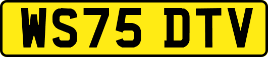 WS75DTV