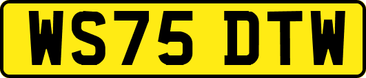 WS75DTW