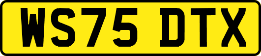WS75DTX