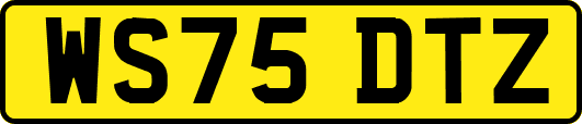 WS75DTZ