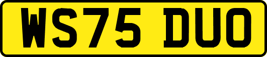 WS75DUO