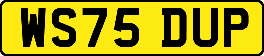 WS75DUP