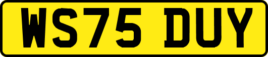 WS75DUY