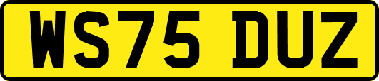 WS75DUZ