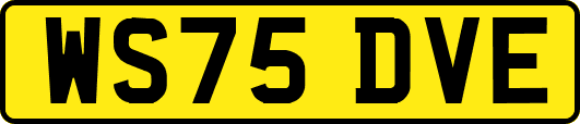 WS75DVE