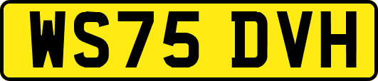 WS75DVH