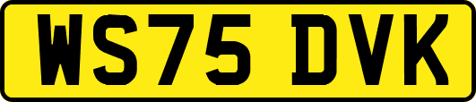 WS75DVK
