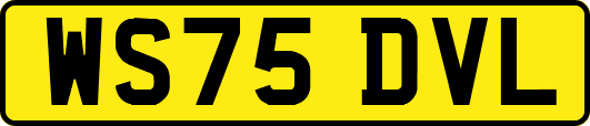 WS75DVL