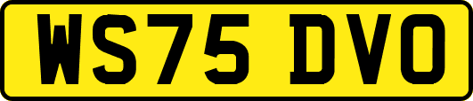WS75DVO