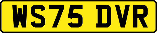 WS75DVR