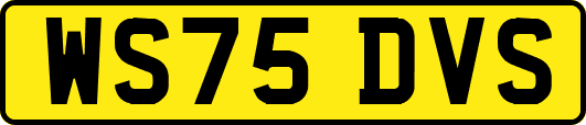 WS75DVS