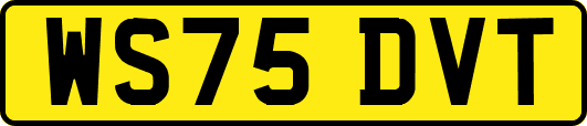 WS75DVT