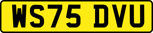 WS75DVU