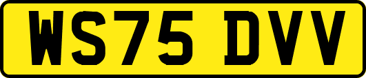 WS75DVV