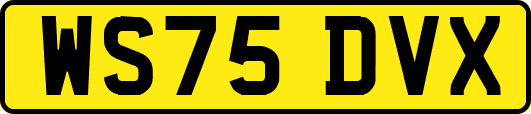 WS75DVX
