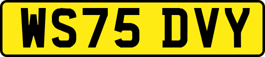 WS75DVY