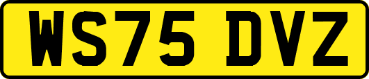 WS75DVZ