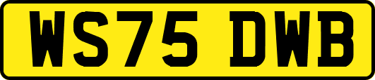 WS75DWB
