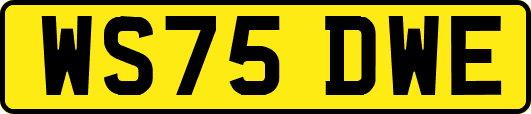 WS75DWE