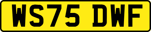 WS75DWF