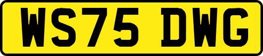 WS75DWG