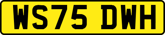 WS75DWH