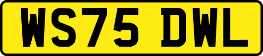 WS75DWL