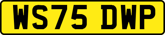 WS75DWP