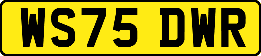 WS75DWR