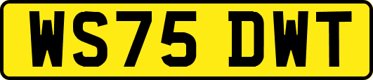 WS75DWT