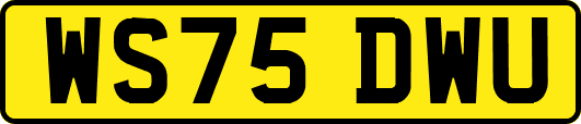 WS75DWU