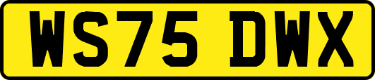 WS75DWX