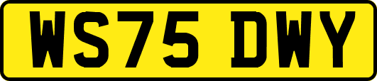 WS75DWY