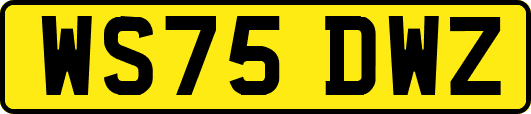 WS75DWZ