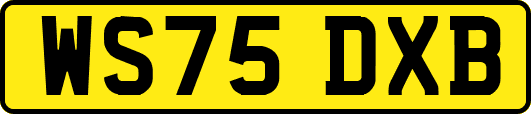 WS75DXB