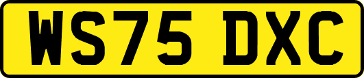 WS75DXC